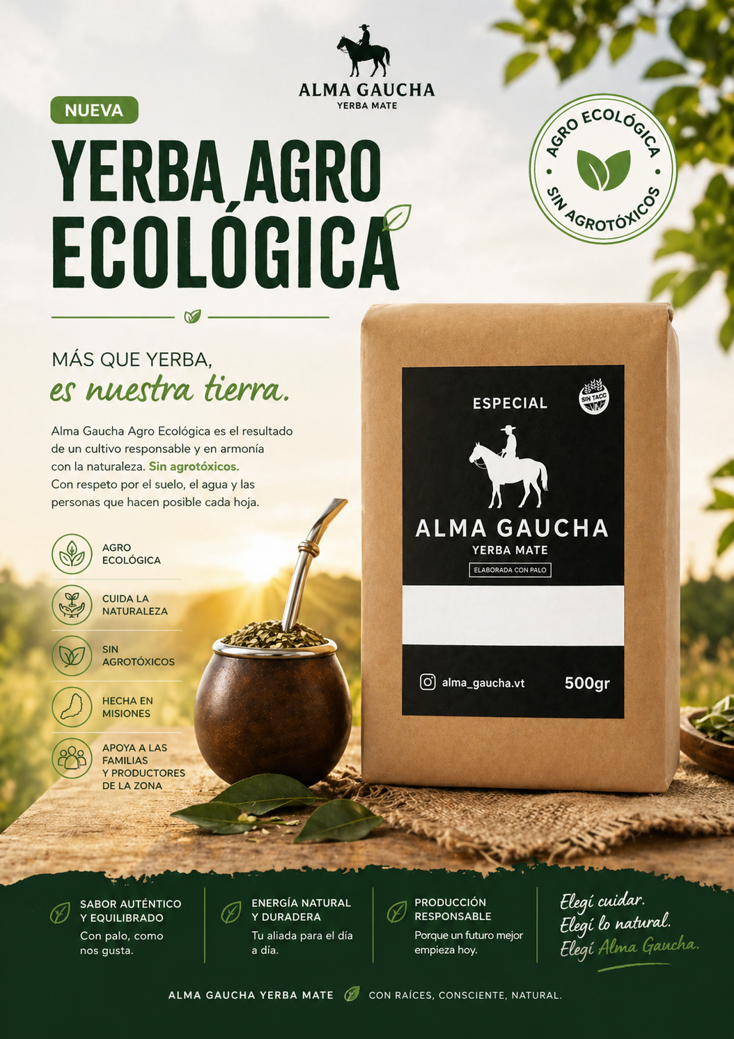 Nuevos Productos