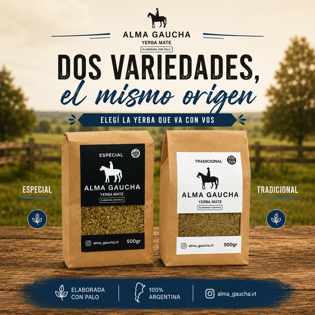 Nuevos Productos